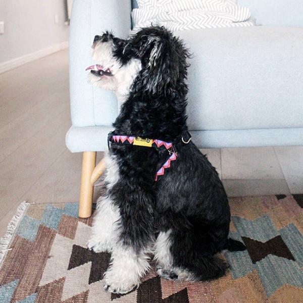 Soft Nylon Padded Dog Harness No Pull Vest With Elastic Woven Strip Lightweight