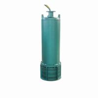 Swift And Comprehensive Water Evacuation Submersible Drainage Sump Pump 75kW High Performance Reliable