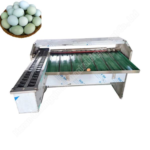 Egg Size Sorting Machine Egg Sorter Machine Automatic Egg Grading Machine