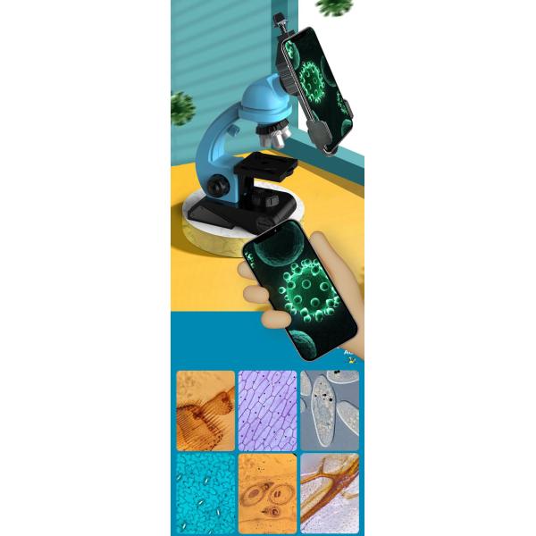 Student Science Experiment Essential Mobile Phone Stand for Biological Microscope