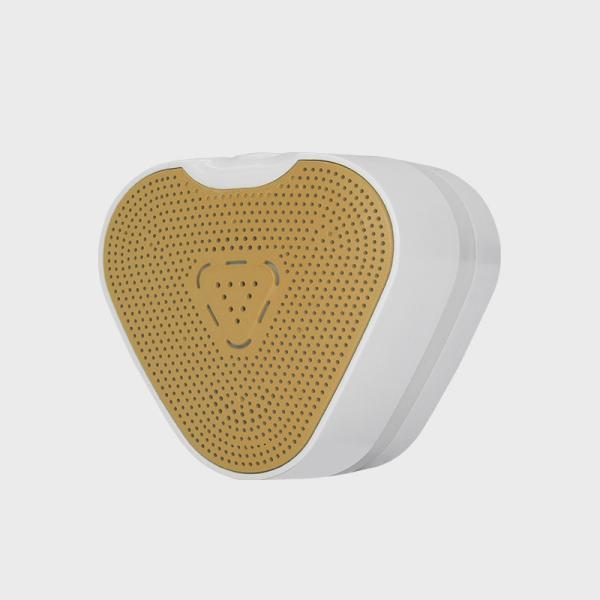 Lightweight Home Gas Detector For Natural Gas And Carbon Monoxide Alarm