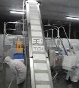 凍結するエビのための包装機械の重量を量るSU 304 Multihead