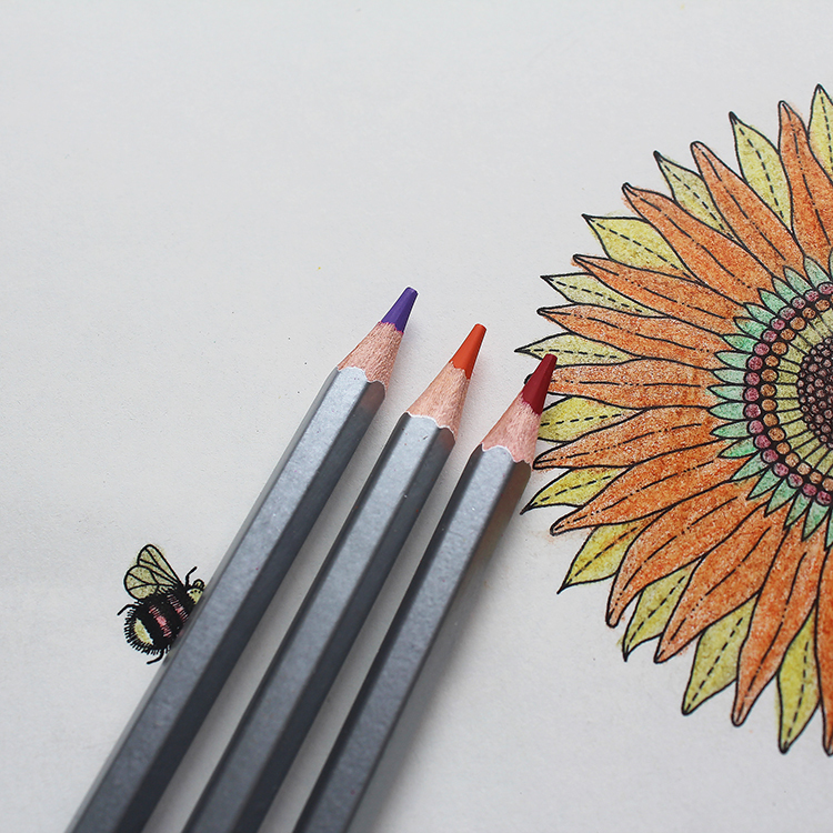 Luxury Low Price School Wooden Colour Pencil 72 Color Pencils Set