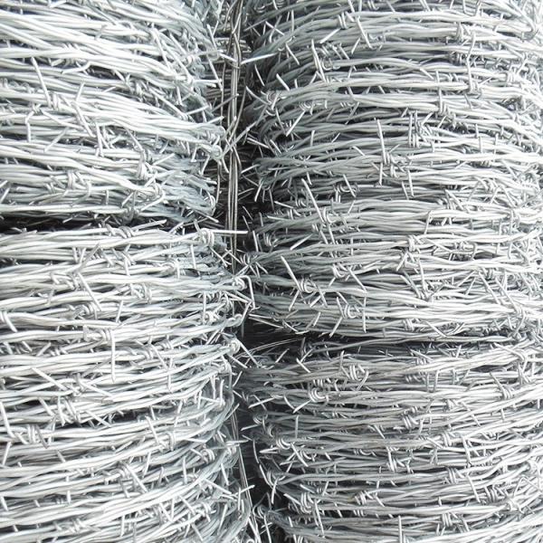 Galvanized Security Fencing Barbed Wire for Agricultural and Industrial 1.6mm Wire Diameter Barbed Point 4 Long-Lasting