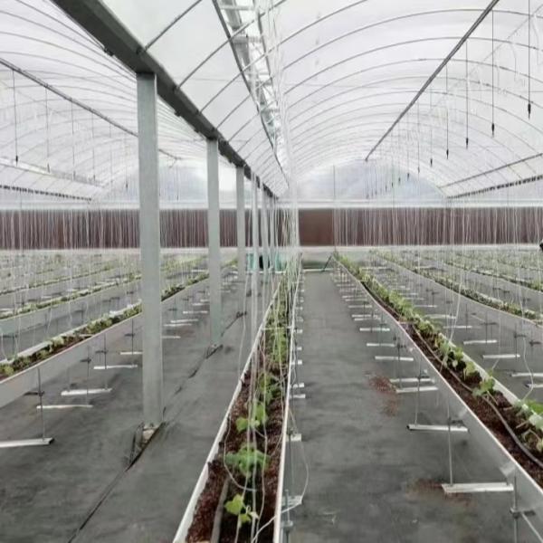 JX-A0022 Commercial Greenhouse with Multi-Span Plastic Tunnel Film Design Innovation