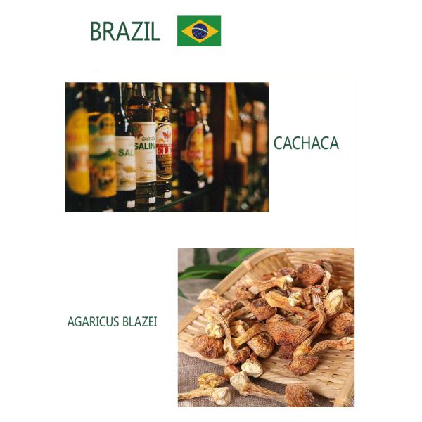 Import Purchasing And Logistics , Global Logistics Services South America