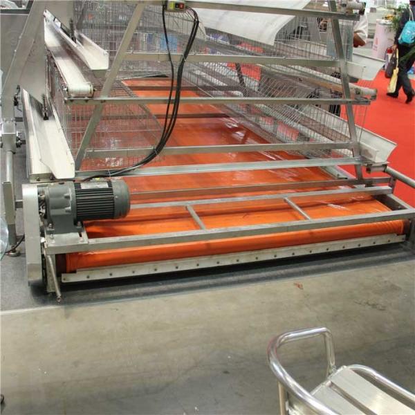 Надежная птица засаривает оборудование удаления, деятельность машины птицефермы