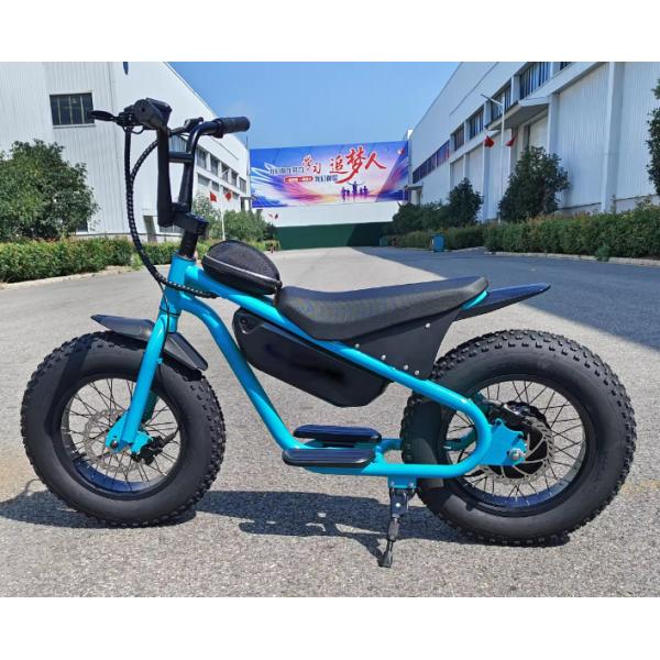 60-70 Nm Torque Little Fat Tire Electric Dirt Bike for Kids 13AH Chopper Motorcycles