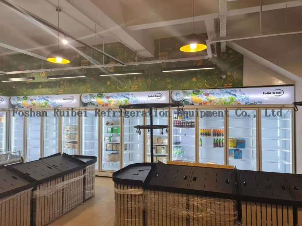 Commercial Frozen Food Upright Display Glass 3 Doors Freezer