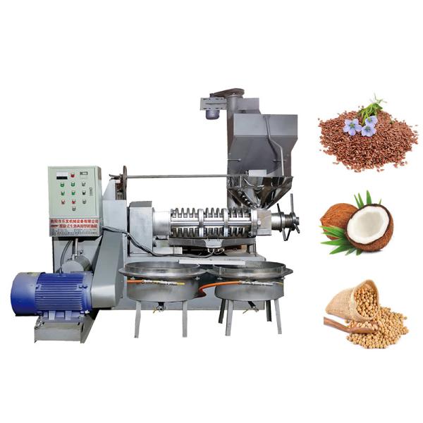 Commercial Screw Camellia Oil Extraction Machine 2.2 KW Vacuum Power 1900KG Weight Industrial Oil Presser