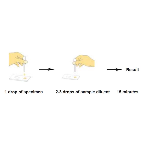 Tuberculosis Infectious Disease Blood Tests 4mm Cassette Serum Specimens CE
