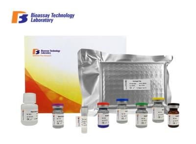 Porcine Cath B Sandwich Immunoassay Test Kit For Accurate Quantitative Detection