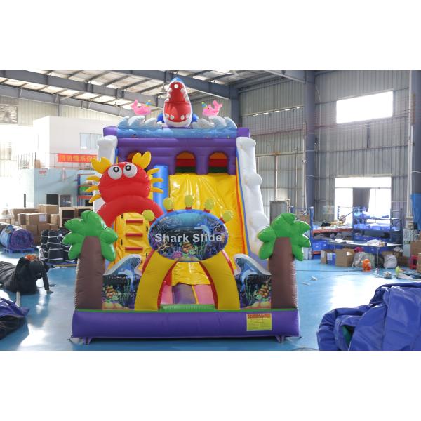 Slide sec gonflable imprimé sur mesure avec design de château gonflable pour les événements pour enfants