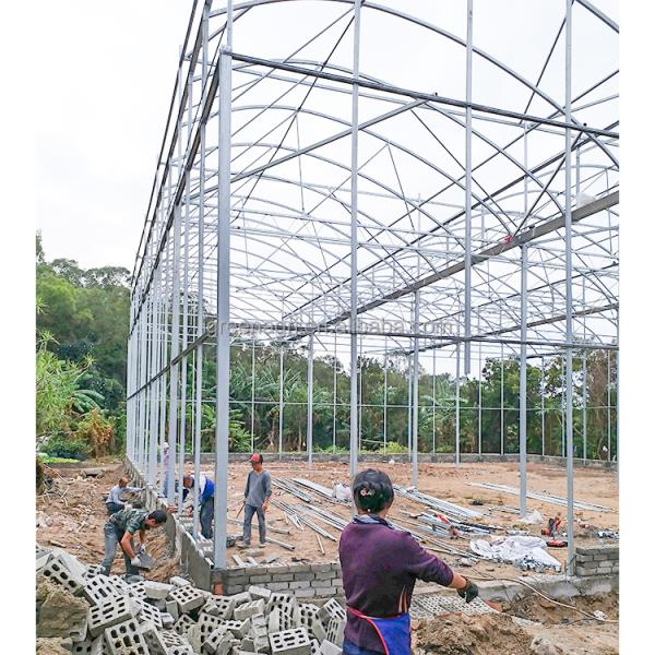 Strong Structure Large Multi-Span Agricultural Tropical Greenhouses PE Plastic Film Covered Gutter Rain Water Collection
