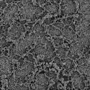 3μm Pore Size Hydrophilic PES Polyethersulfone Filter Membrane Filtration