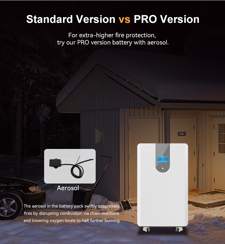 Custom High-quality 51.2V LifePo4 Battery Pack Hybrid Home Energy Storage Solutions 15kWh Solar Home Battery Manufacturer