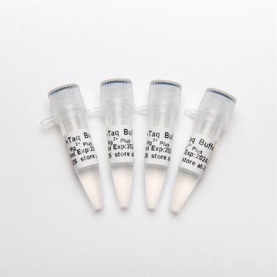 Amortecedor do PCR 10× (Mg2+ mais) P5011 1.25ml×4