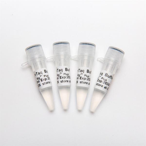 10× PCR Buffer (Mg2+ Plus) P5011 1.25ml×4