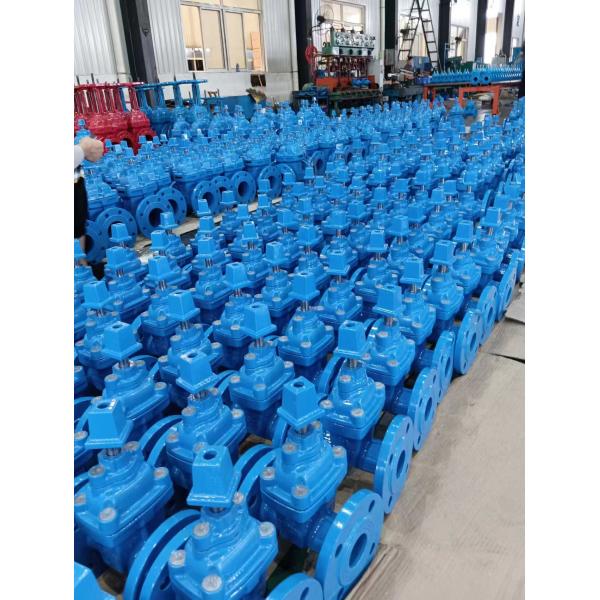QT450 Manual Operation Gate Valve with PN10-16 Pressure for Industrial Water Applications