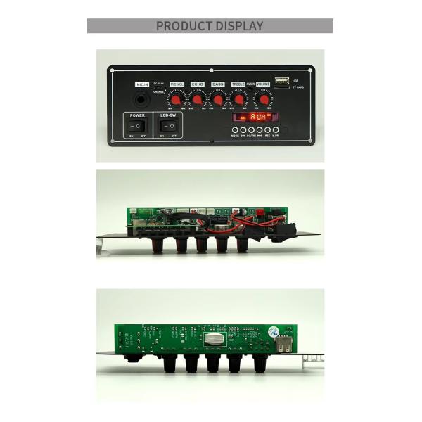 Função de gravador de voz 2x20W 7.4V Micrófono sem fio com fio Trolley Speaker Sound Bt Decoder Amplifier Board