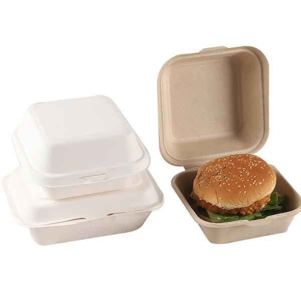 Le bloc supérieur naturel de bagasse de 100% sortent à des conteneurs de nourriture compostable jetable