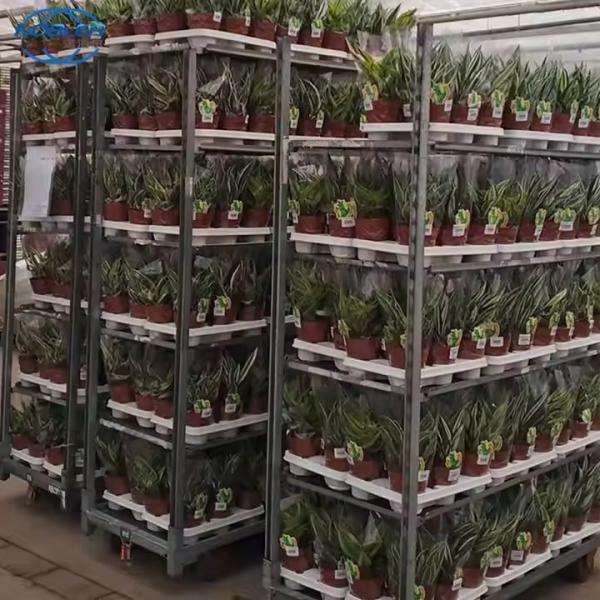 Serre à haute charge pour le chariot à fleurs danois en poudre revêtue