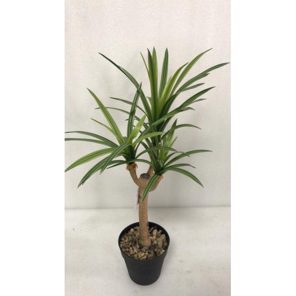 Flexible Glue Faux Dracaena Plant Black Plastic Pot 45 CM 62 CM 82 CM
