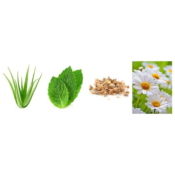 Dentifresh Teeth Whitening Toothpastes For Professional Oral Care Non Toxic