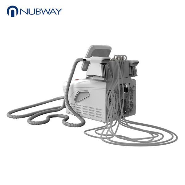 Professional cryolipolysis fat freezing machine.table model,easy to place and use.
