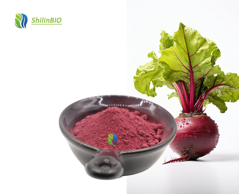 SLBIO Supply Herbal Extract Supplement Beetroot Powder Customized Private Label Beet Root Powder