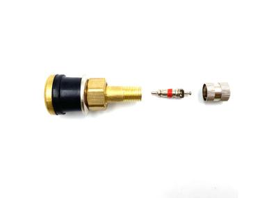 Tubeless Clamp In Straight Brass Valve Stems Brass Cap For Trucks And Buses TR501