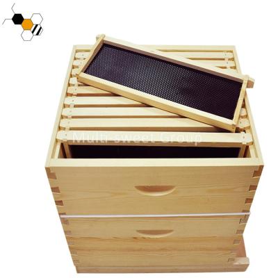 Ferramentas de Kit Wholesale Bee Hive Apiculture da colmeia de Langstroth