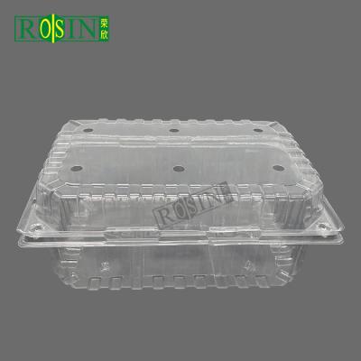 Récipient en plastique jetable pour fruits personnalisable transparent avec couvercle ventilé