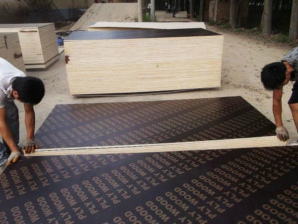 Marine Plywood / Film Faced Plywood Factory, shuttering plywood panel manufacturer