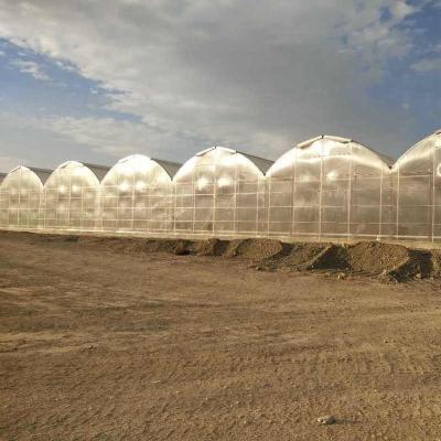 Estruturas de aço Policarbonato Estufas Para Vegetais Multi-Span PC Board Estufas Agricultura ao ar livre