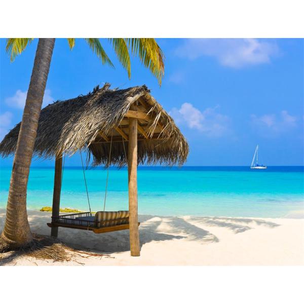 Легкий для того чтобы снести напечатанное пляжный полотенце 200gsm полиэстера быстро сухое