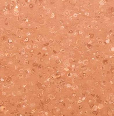 Eco - Friendly Industrial PVC Flooring Brown Color Anti Corrosion Moisture Proof