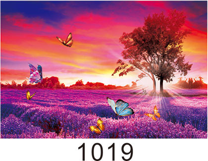 Environmentally Friendly 3d Lenticular Photo / Custom Lenticular Printing