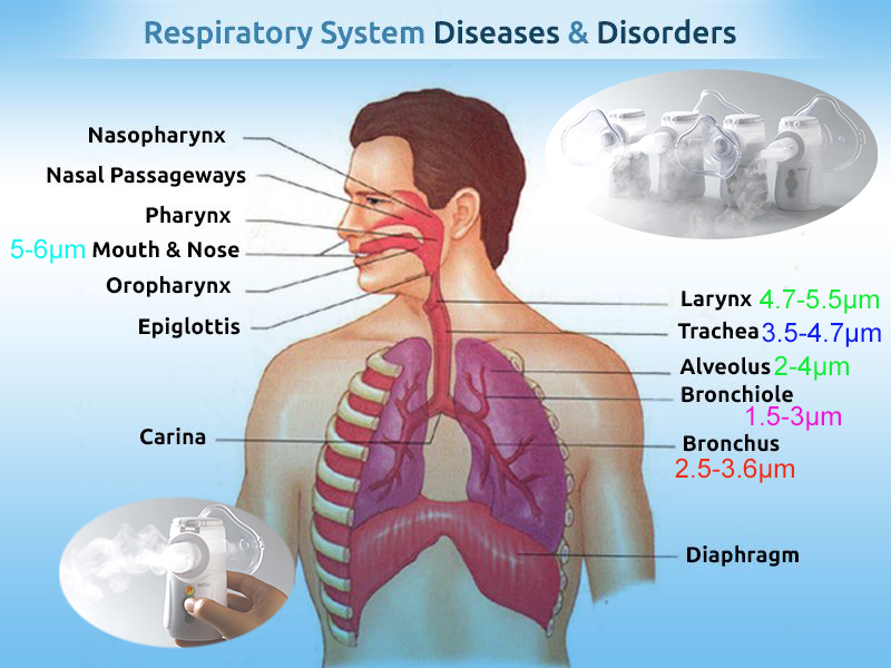 Машина 1μm до 4.7μm Nebulizer сетки здравоохранения семьи для холода и кашля