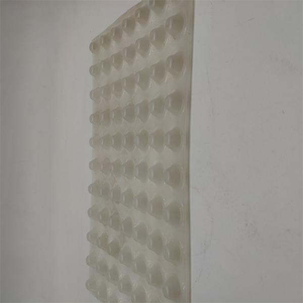 68mm Height Plastic Drainage Board for Roof Garden Protect Turf and Improve Drainage