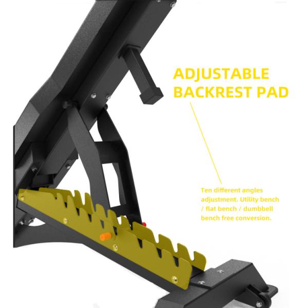 2022 Adjustable Gym Bench for Unisex Weight Lifting Workout Set Qingdao Loading Port