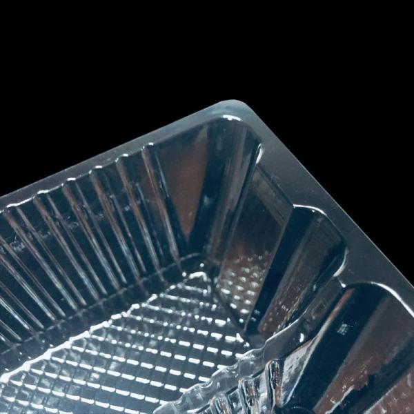 Custom 2-Compartment PET Food Tray for Snack Packaging