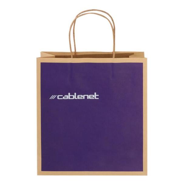 Custom Brown Kraft Paper gift Bags With Handle Retail Shopping Packaging
