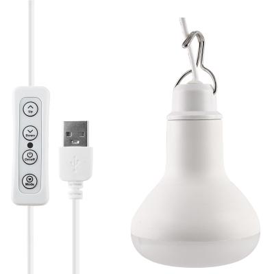 Home/Outdoor USB LED Lamp illumination 10W LED Warm White Light Bulbs