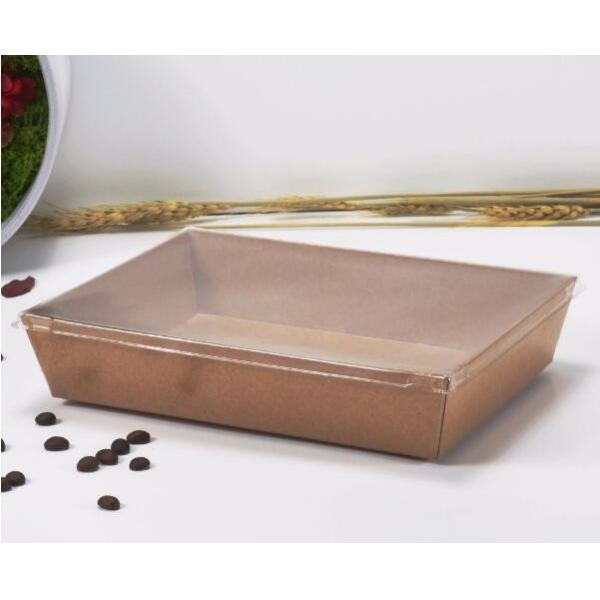 Food Grade Takeaway Disposable Plastic Fast Food container /lunch box/salad/sandwich Packaging bento box sandwich, pac