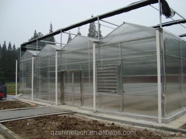 Vegetable Fruits And Flowers Multi Span Agricultural Greenhouse With Tempered Glass