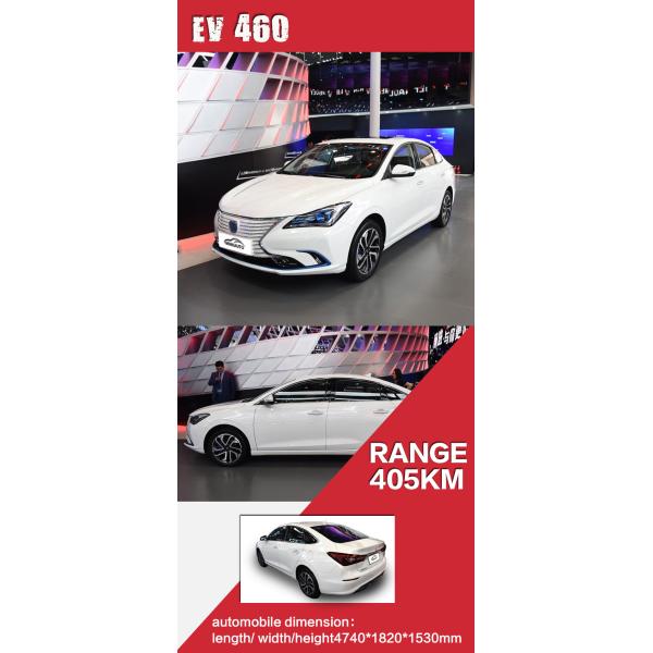 Original Benni E-star Bumper Door Cover in Various Colors for Auto Spare Parts