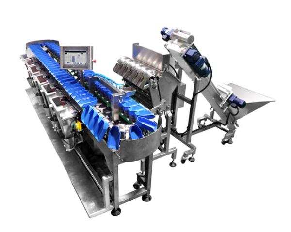 Automatic Sweep Arm Weight Sorting Machine Chicken Duck Fish Food Weight Sorter Grader