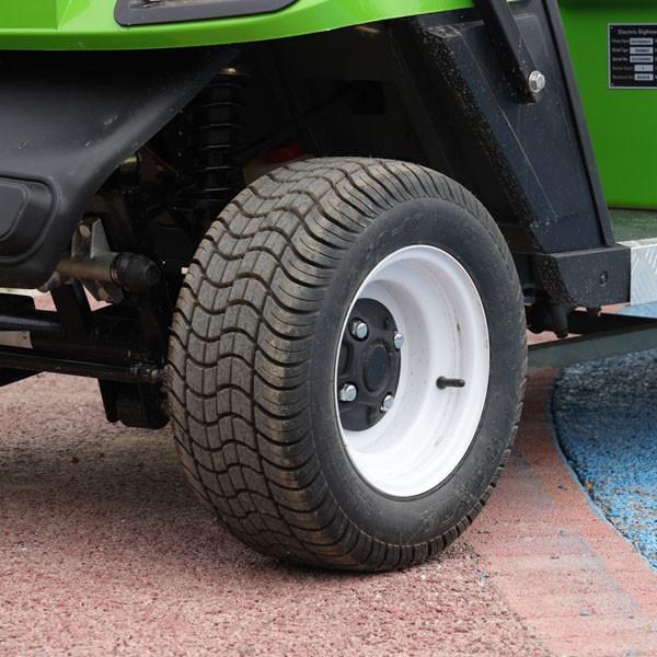 Сеатер электрической тележки для гольфа ОДМ 30мх 4 ЭВ вся местность для курорта отдыха клуба