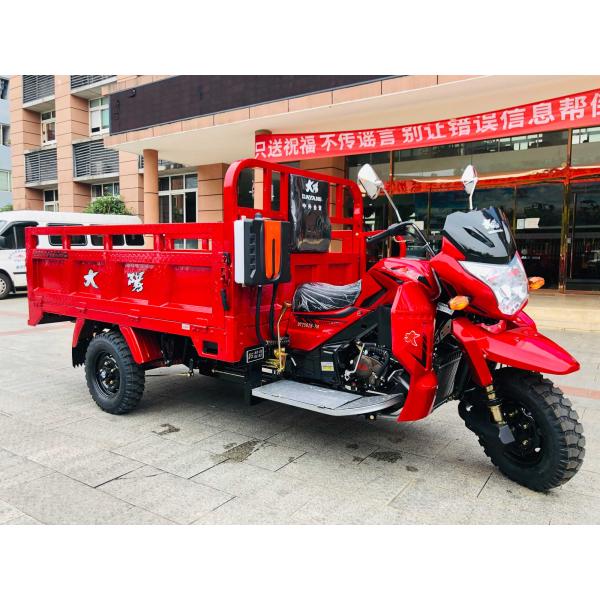 800W DAYANG DY-R1 RUITENG 250cc Tricycle cargo pour lourds CCC Trois roues moto
